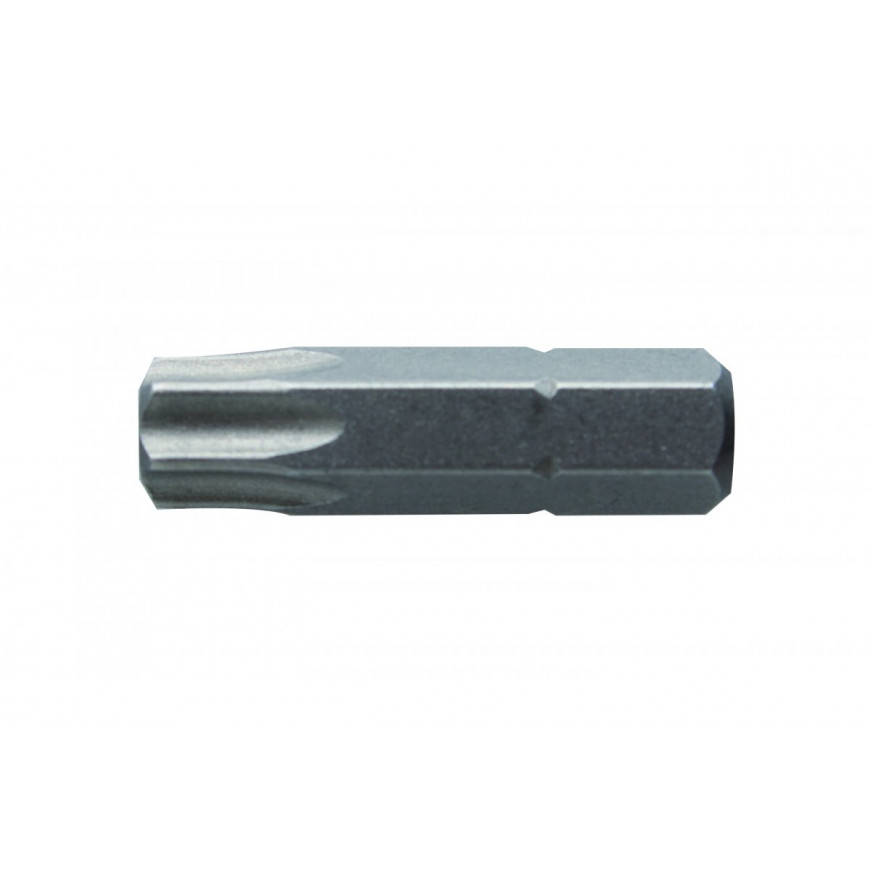 Bit TORX 40 25 mm oceľ S2 2-dielny blister HT1S367