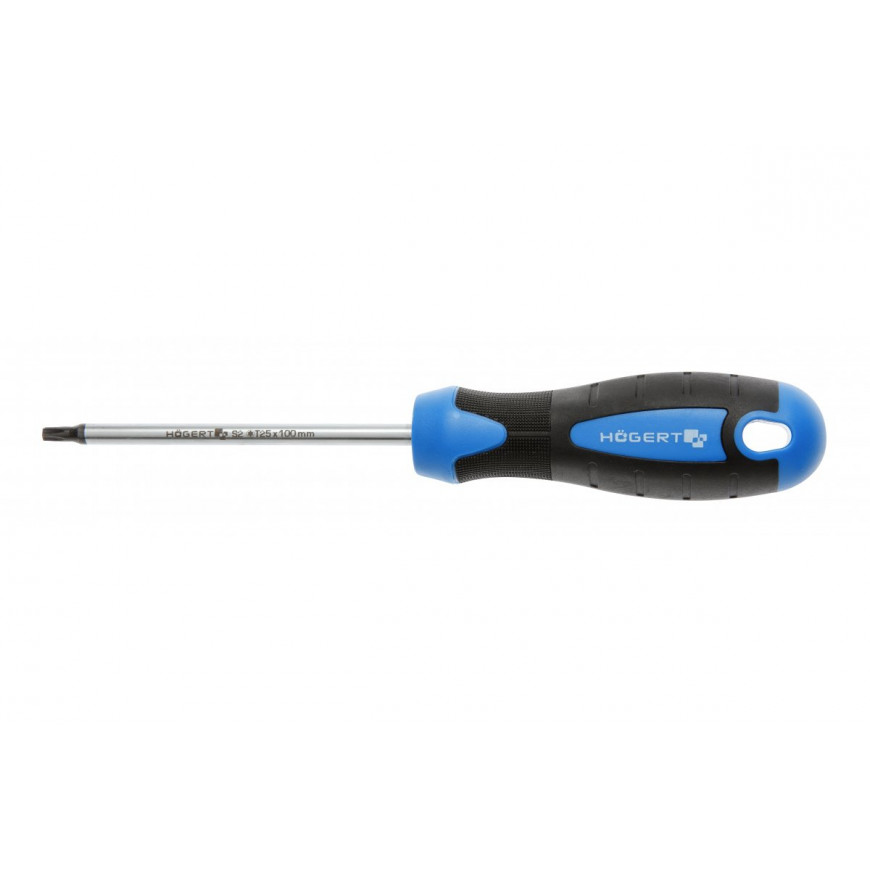 Skrutkovač torx T25 100 mm oceľ S2 HT1S056